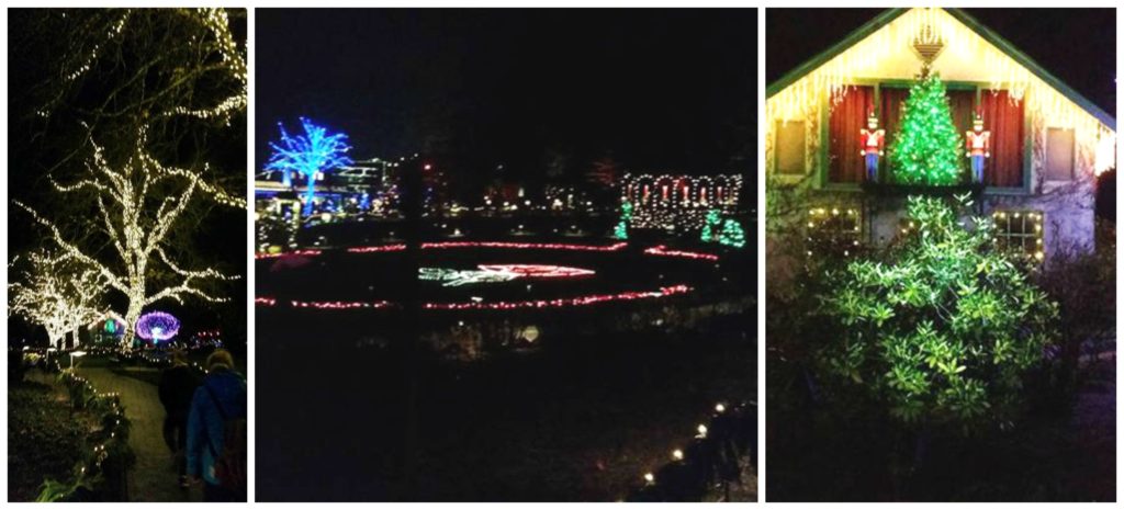 lights