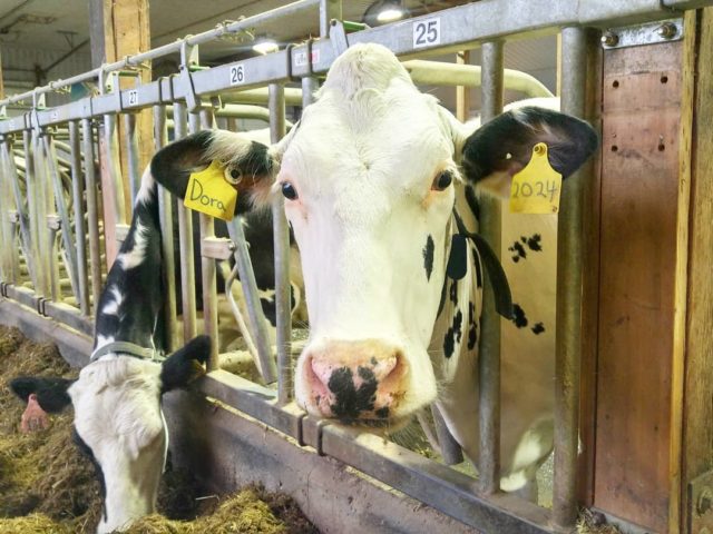 Things to Do Fraser Valley